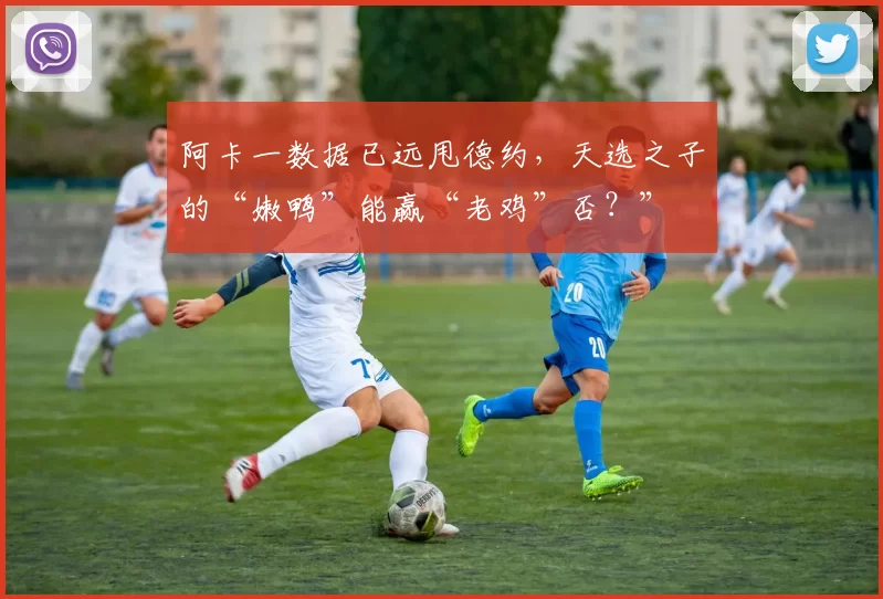 阿卡一数据已远甩德约，天选之子的“嫩鸭”能赢“老鸡”否？”